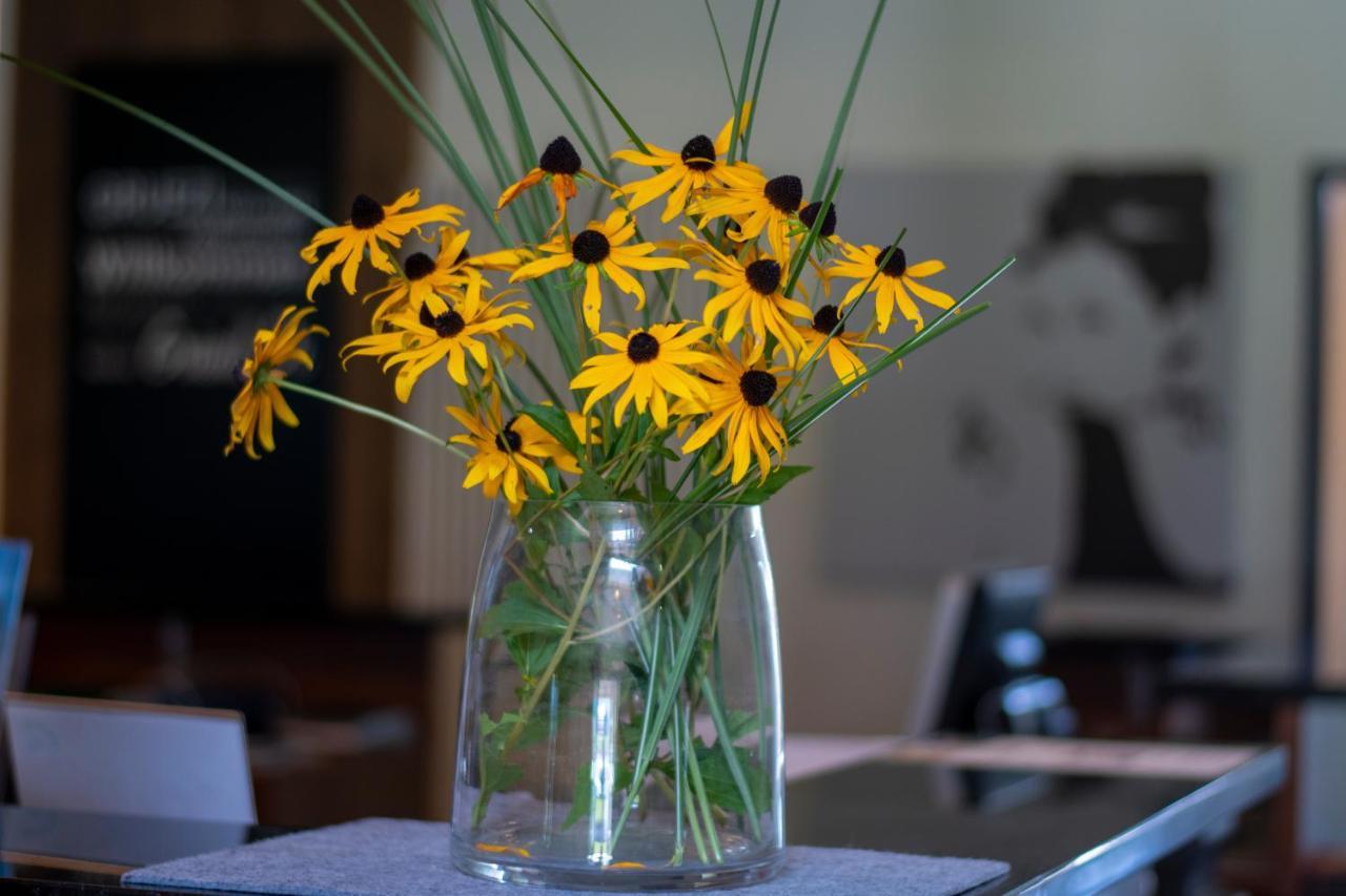 Vitalhotel Quellengarten - Bed & Breakfast Лінгенау Екстер'єр фото